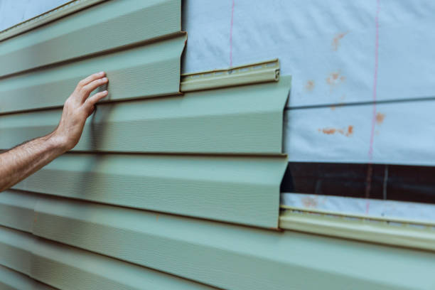 Best Fascia and Soffit Installation  in Denham Springs, LA